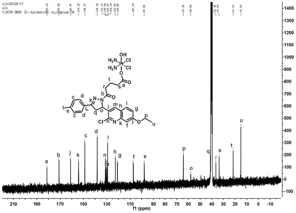 Replication protein A targeted platinum compound