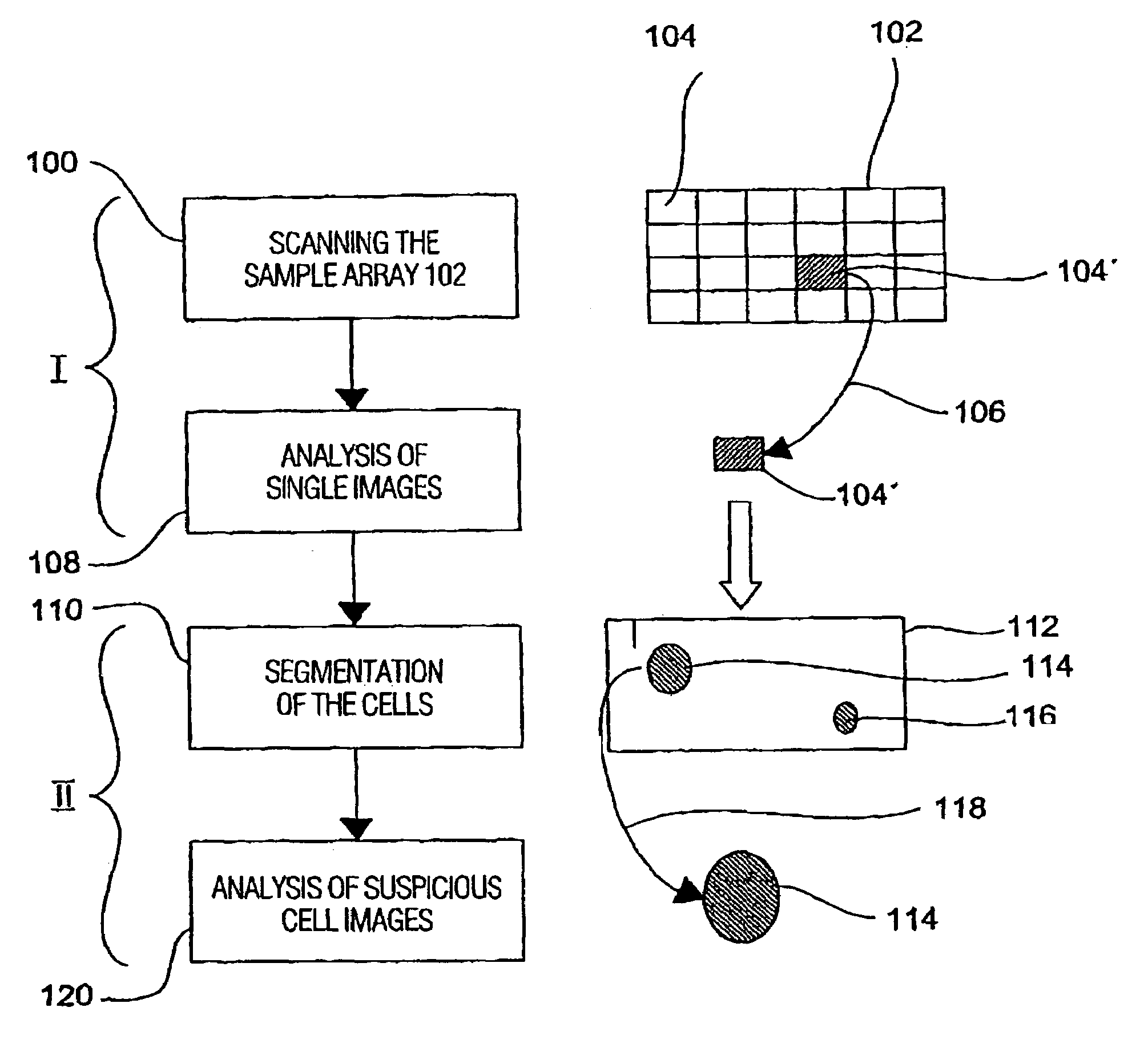 Method for analyzing a biological sample