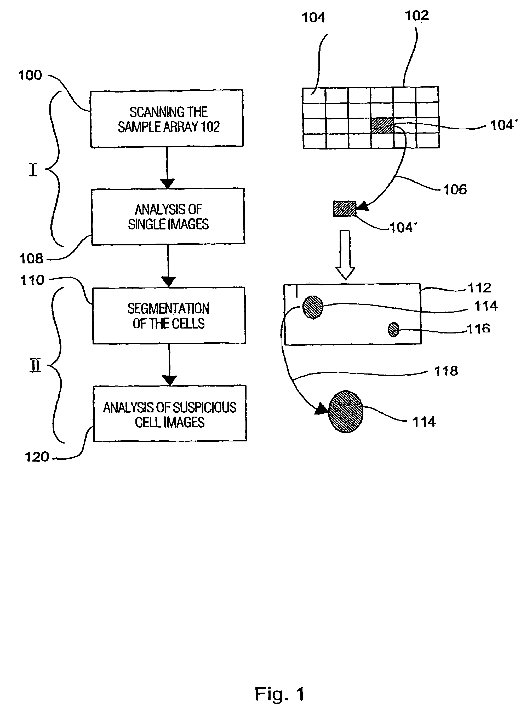 Method for analyzing a biological sample