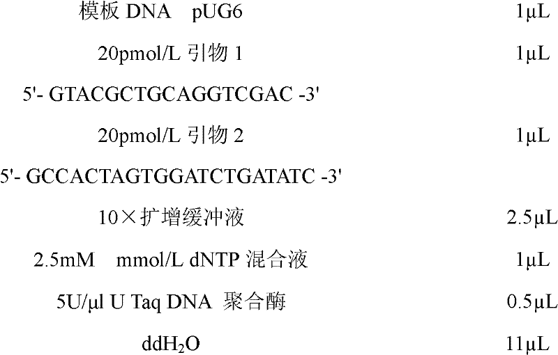 Construction method of recombinant plasmid vector p18-kan+/- containing loxP-kanr-loxP segments