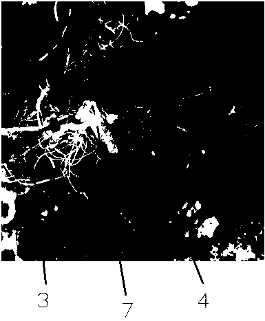 A method of repairing intertidal zone sargassum field