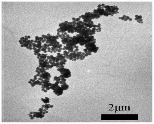 A reusable magnetic Fe that photocatalytically degrades dyes  <sub>3</sub> o  <sub>4</sub> The preparation method of microsphere and its application