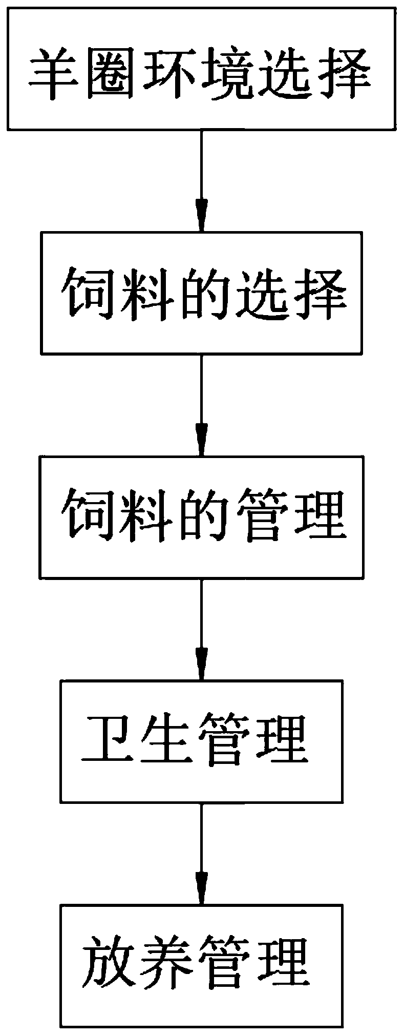 Culture method of sheep fed with fructus lycii