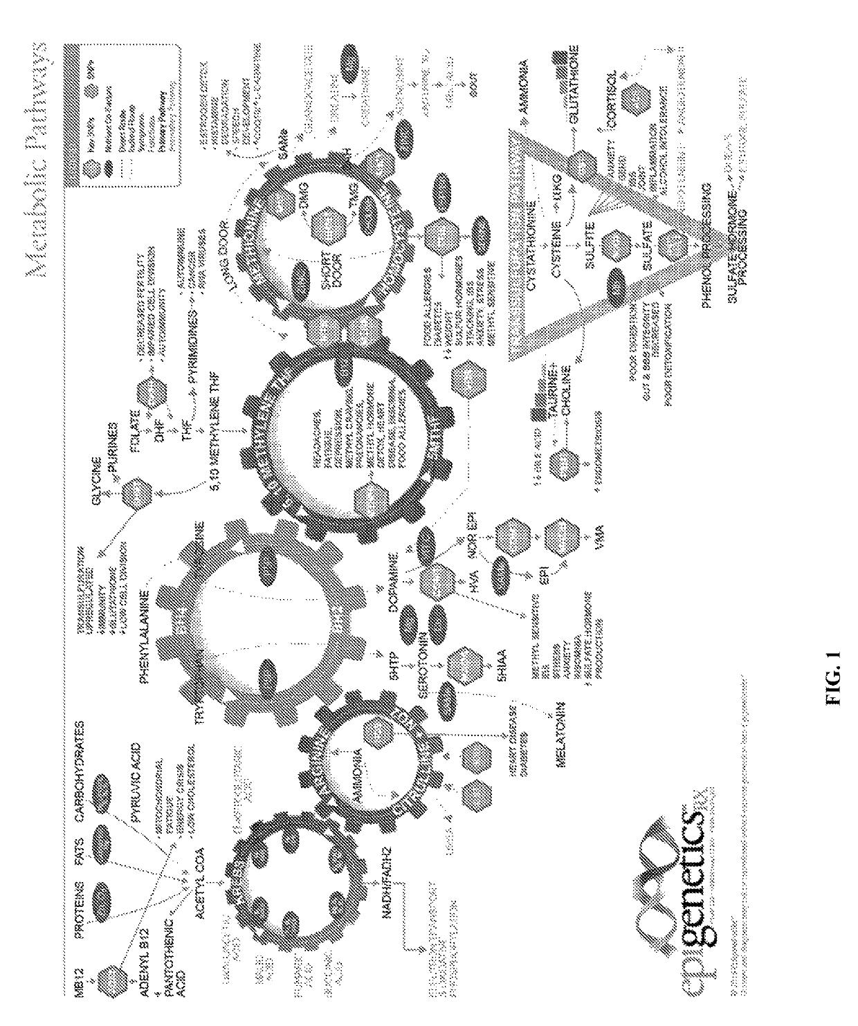 Stable 5-methyltetrahydrofolate formulations to moderate methylenetetrahydrofolate reductase associated polymorphisms