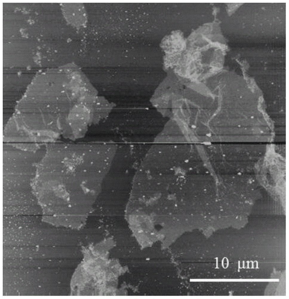 Preparation method of large-size graphene/graphite composite negative pole material