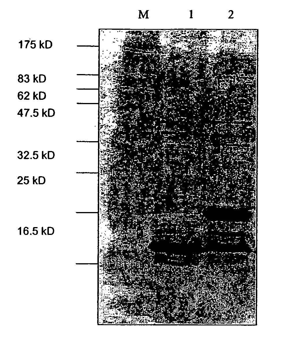 Antigen arrays for treatment of allergic eosinophilic diseases