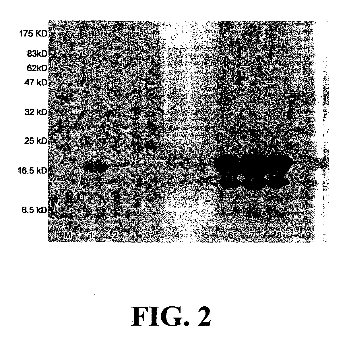 Antigen arrays for treatment of allergic eosinophilic diseases