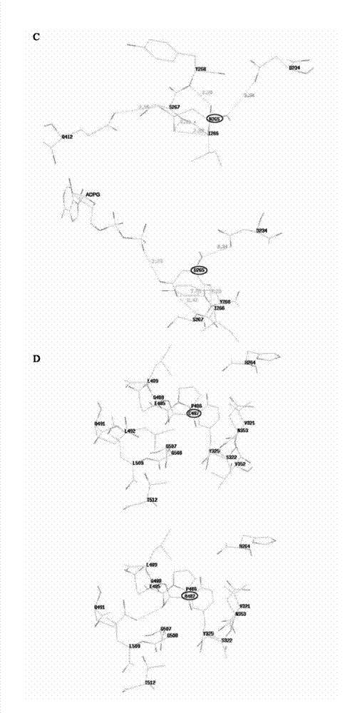 Mutant OsGBSS1 enzyme and preparation method and application thereof