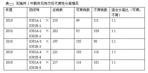 Method for breeding cabbage type rape recessive epistasis interaction genic male sterility two type line