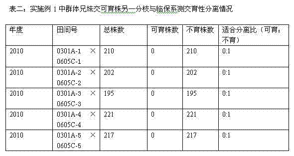 Method for breeding cabbage type rape recessive epistasis interaction genic male sterility two type line