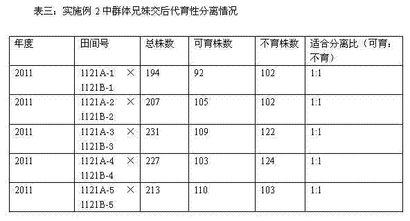 Method for breeding cabbage type rape recessive epistasis interaction genic male sterility two type line