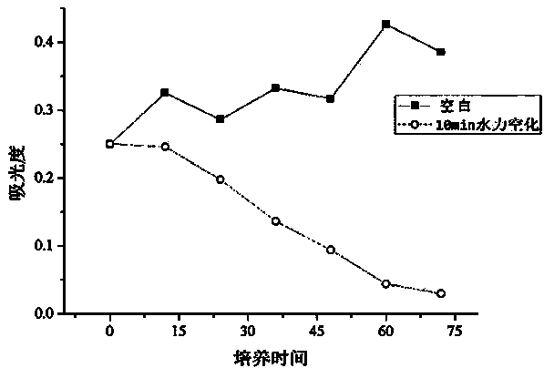 Method for removing blue-green algae by using microbubble hydrodynamic cavitation enhanced coagulation