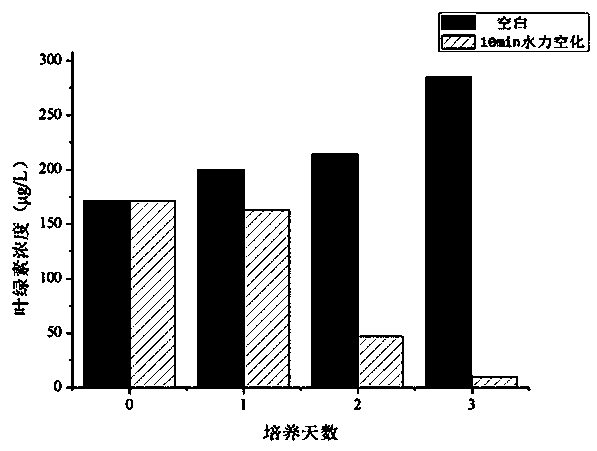 Method for removing blue-green algae by using microbubble hydrodynamic cavitation enhanced coagulation