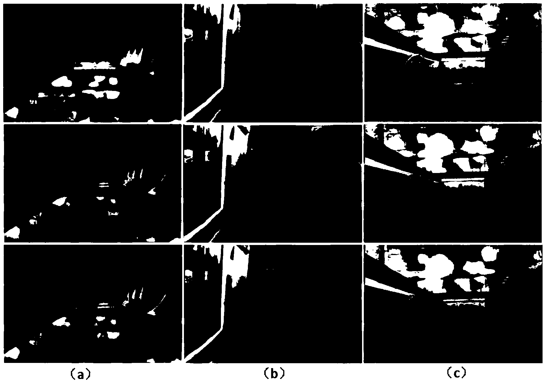 Automatic public transport passenger flow counting method and system