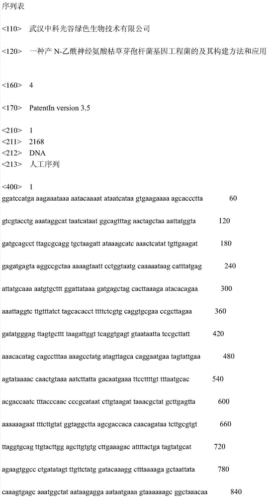 Bacillus subtilis gene engineering bacterial producing Neu5Ac, construction method and application thereof