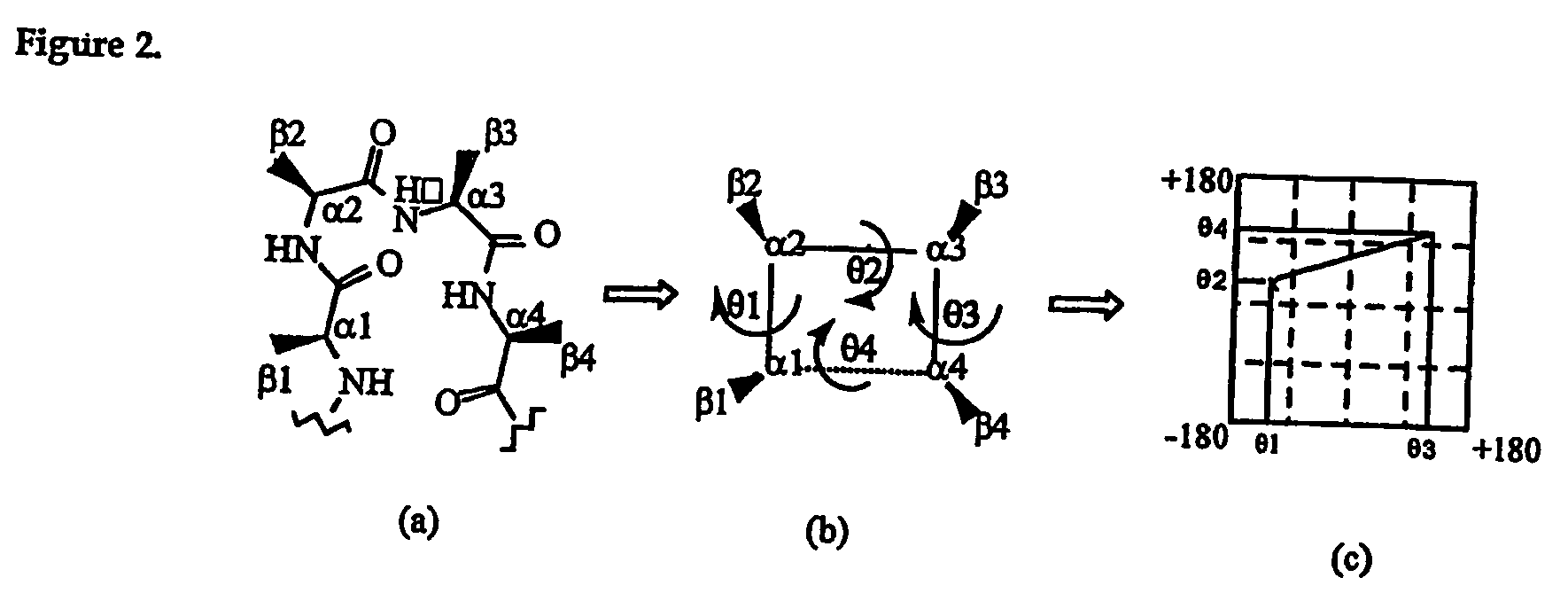 Common protein surface shapes and uses therefor