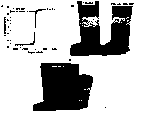 Preparation and application of a polyethylene glycol functionalized magnetic carbon nanotube