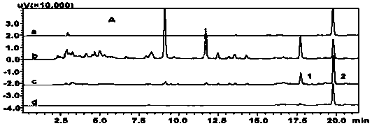 Preparation and application of a polyethylene glycol functionalized magnetic carbon nanotube