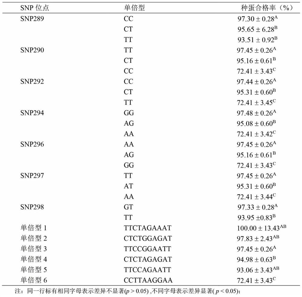 Molecular marking method for detecting goose hatching egg qualification rate