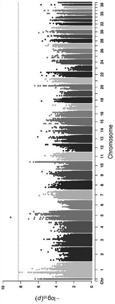 Molecular marking method for detecting goose hatching egg qualification rate