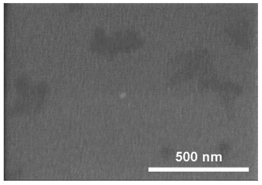 Magnesium alloy containing cell response anticorrosion coating as well as preparation method and application thereof