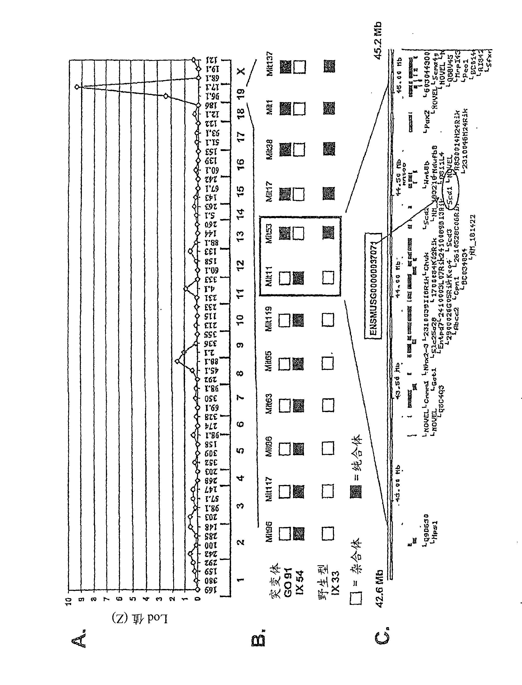 Compositions and methods for treating gram positive bacterial infection in a mammalian subject