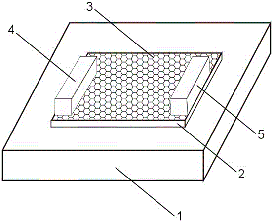 Black phosphorus/molybdenum disulfide heterojunction-based photodetector