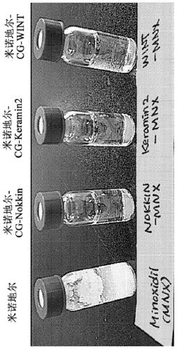 Conjugate of minoxidil and peptide