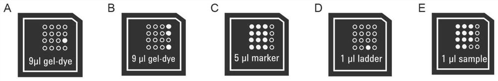 Single cell transcriptome map of human bone marrow hematopoietic stem/progenitor cells and construction method