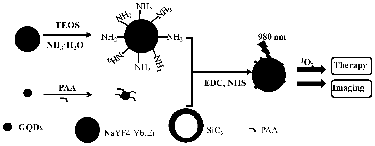 Up-conversion nanoparticles and graphene quantum dot composite materials and preparation methods for near-infrared photodynamic therapy and fluorescence imaging