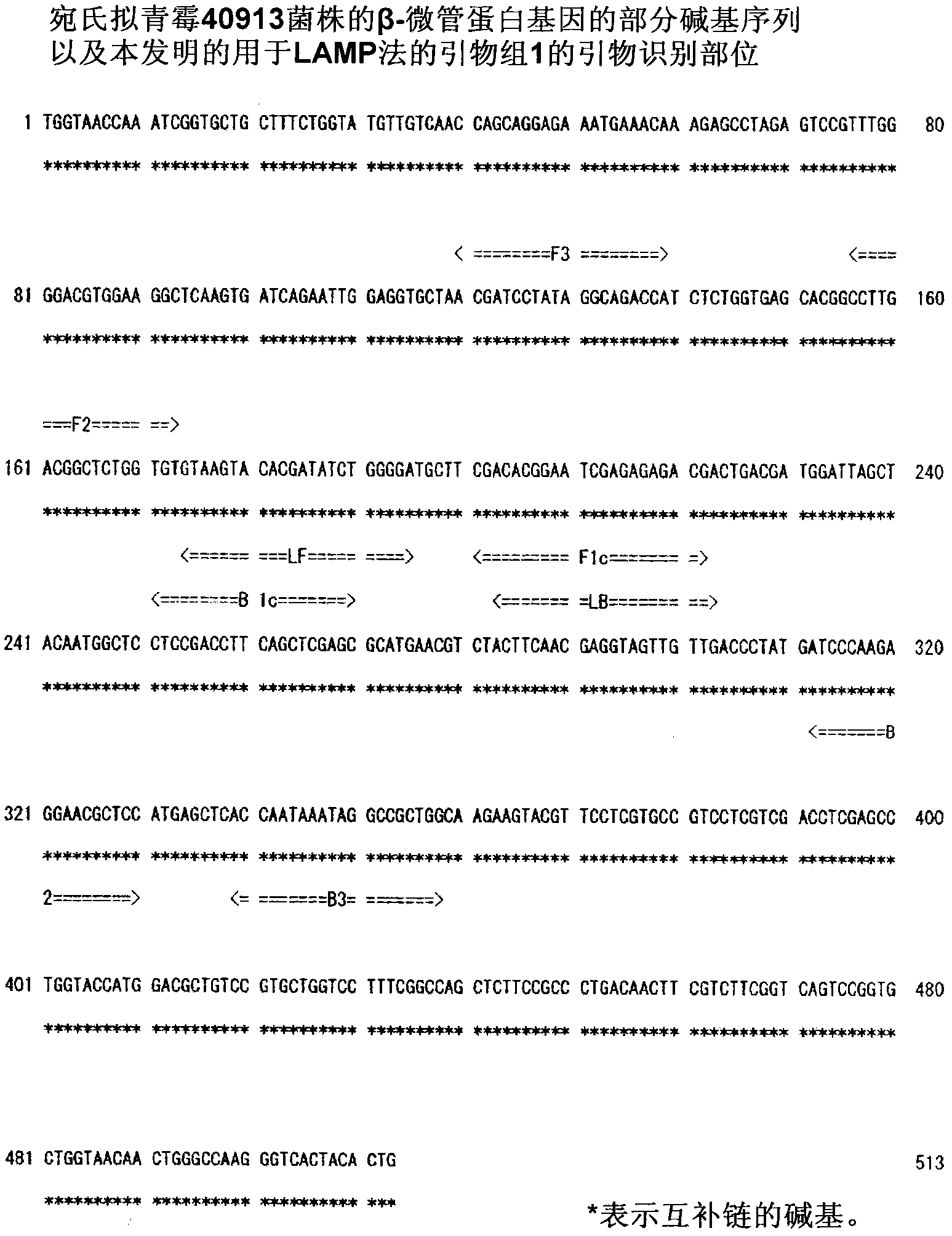 Method for detection of paecilomyces variotii