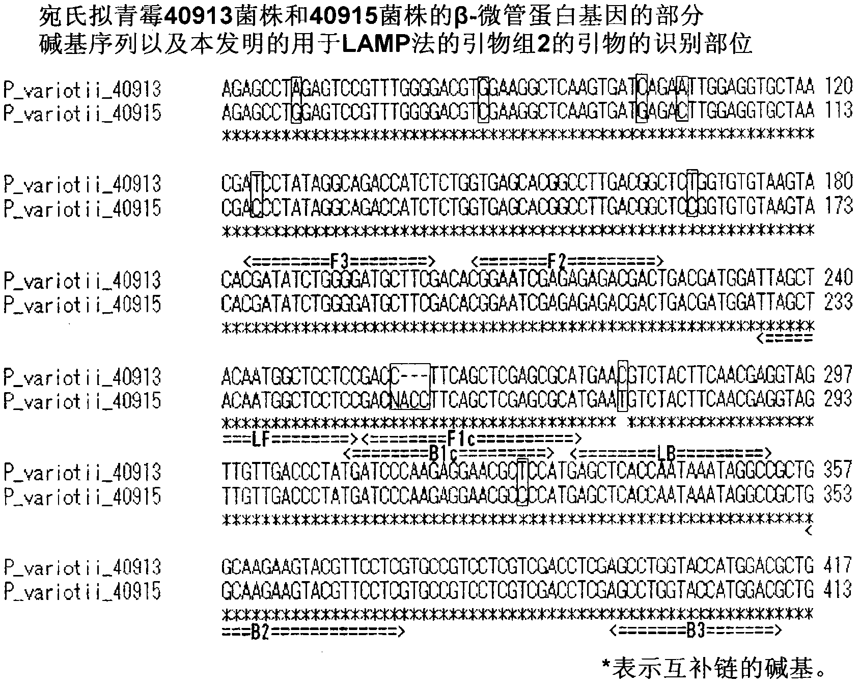 Method for detection of paecilomyces variotii