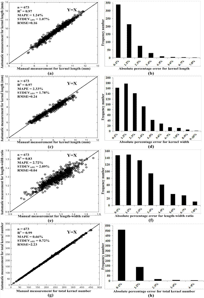 Maize Seed Test Method and System