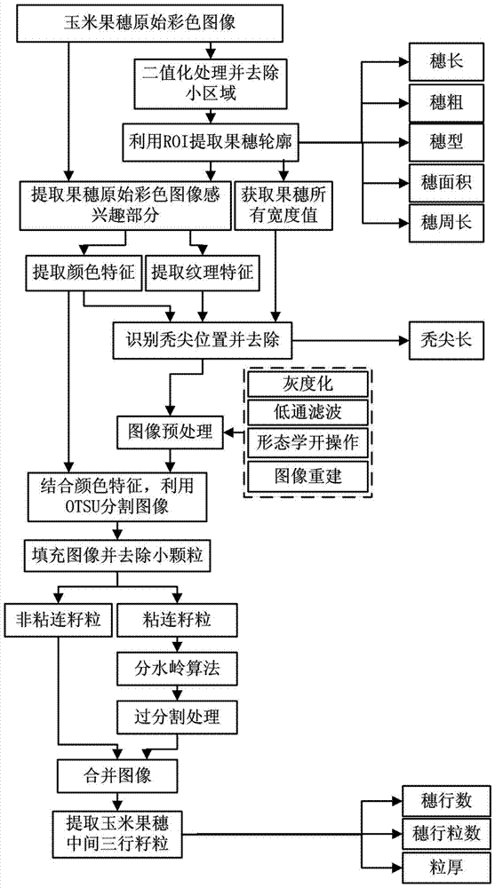 Maize Seed Test Method and System