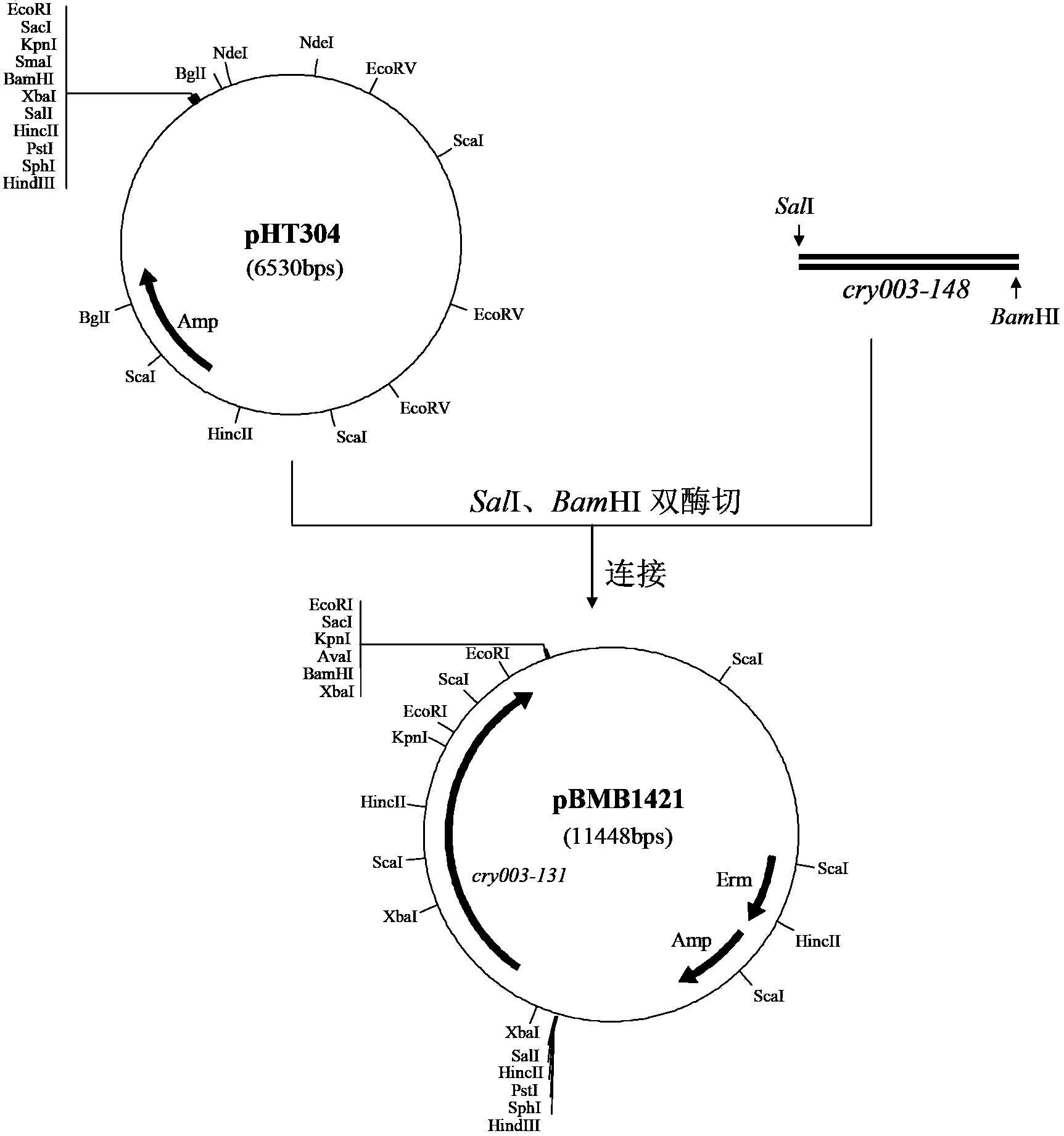 Nematocide crystallin gene cry003-148 and application thereof