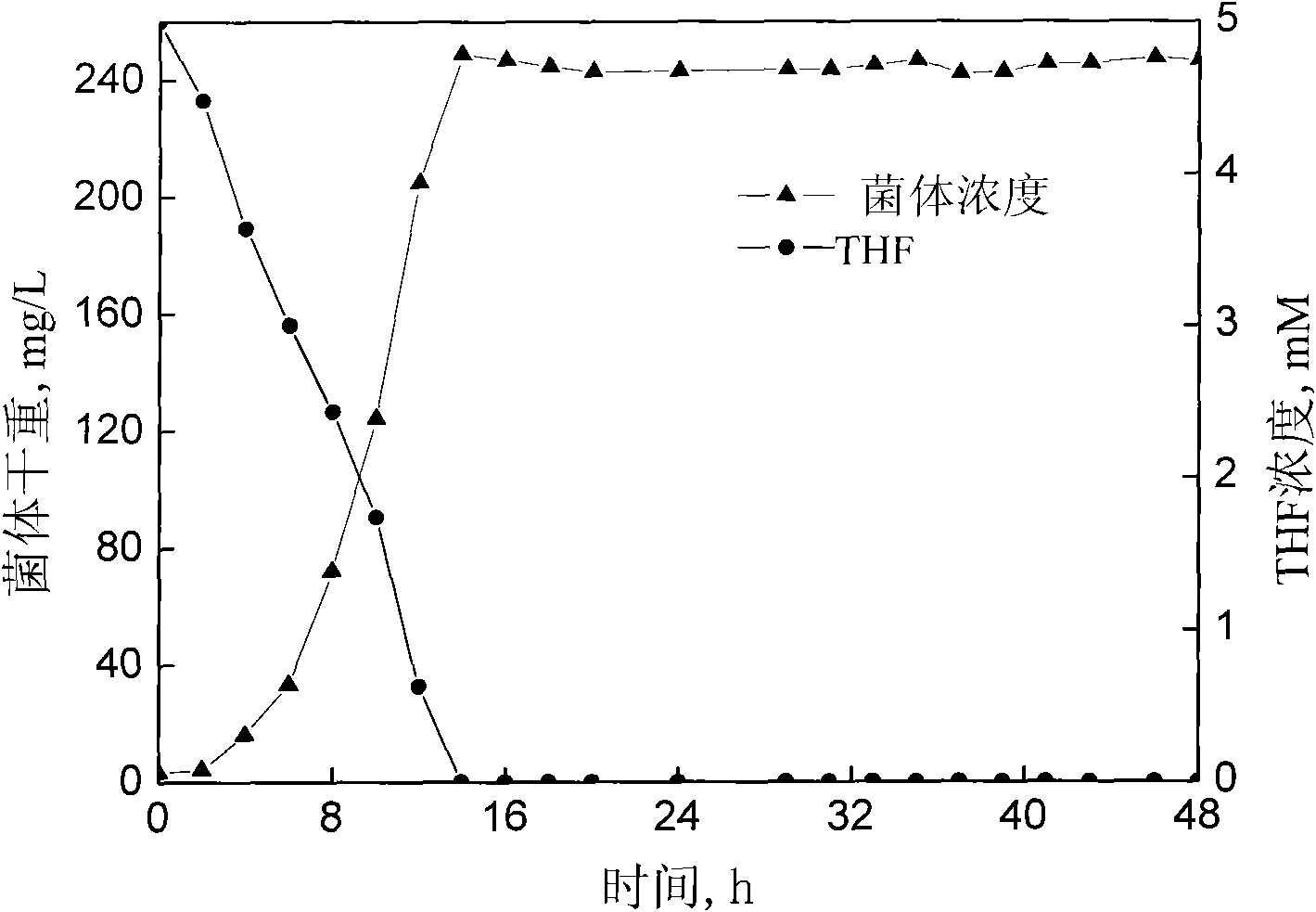 Tetrahydrofuran-degrading Pseudomonas Oleovorans DT4 and applications thereof