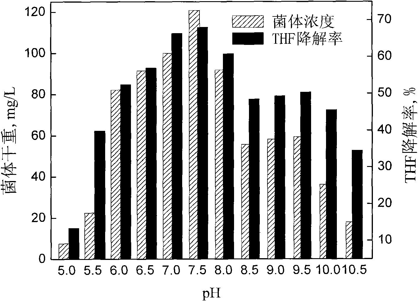 Tetrahydrofuran-degrading Pseudomonas Oleovorans DT4 and applications thereof