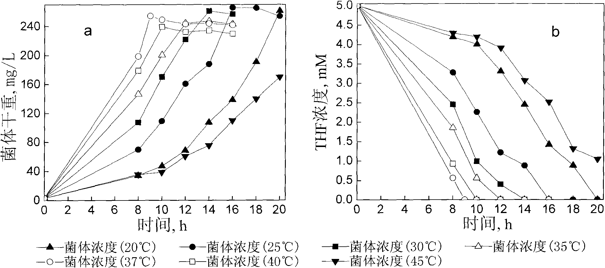 Tetrahydrofuran-degrading Pseudomonas Oleovorans DT4 and applications thereof