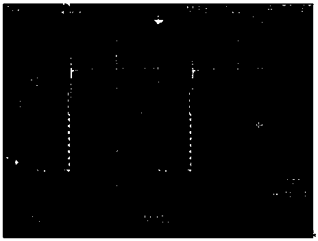 Electronic atomization device and control circuit for increasing driving frequency of electronic atomization device