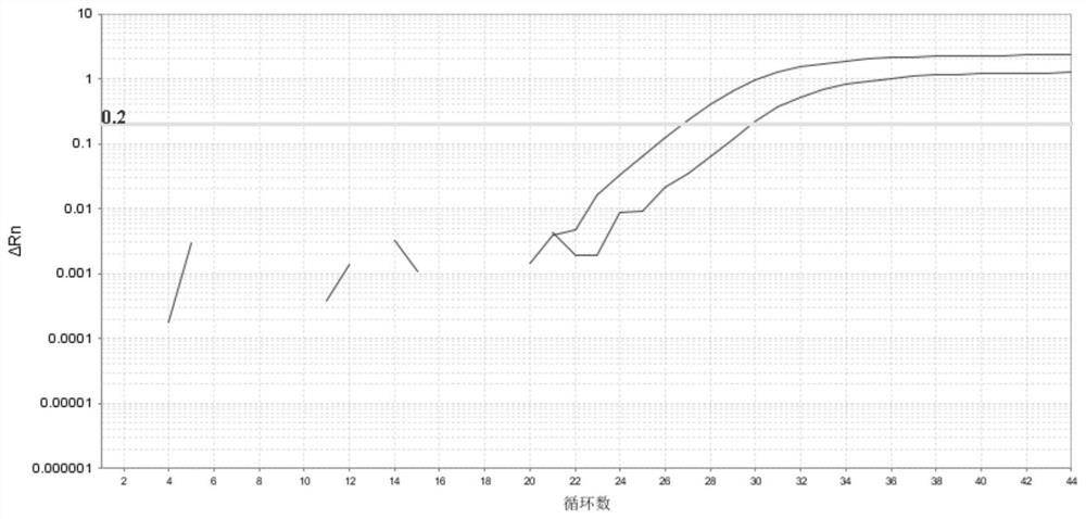 Method for detecting copy number variation of human CYP2D6 gene