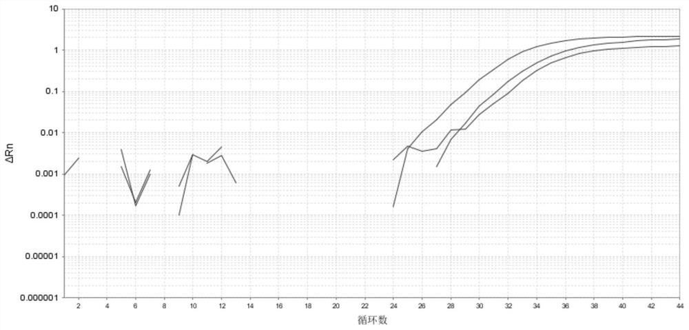 Method for detecting copy number variation of human CYP2D6 gene