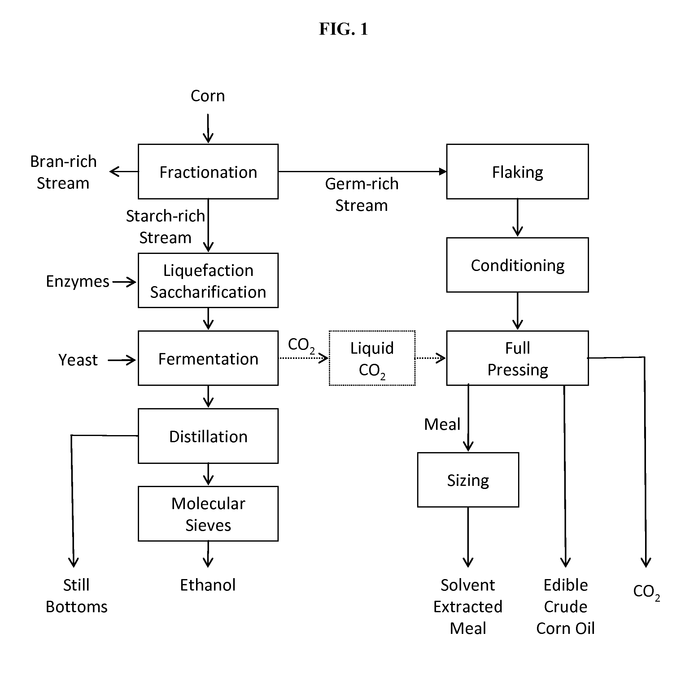 Processes and systems for dry-milled corn ethanol and corn oil production with improved carbon footprint