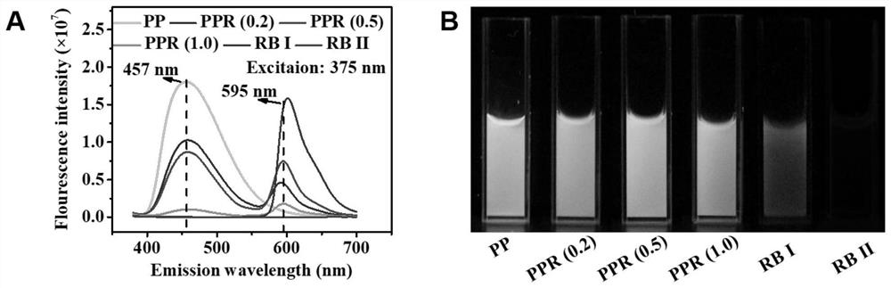 A nano-gene carrier for in vivo targeted tumor imaging and treatment and its preparation method and application