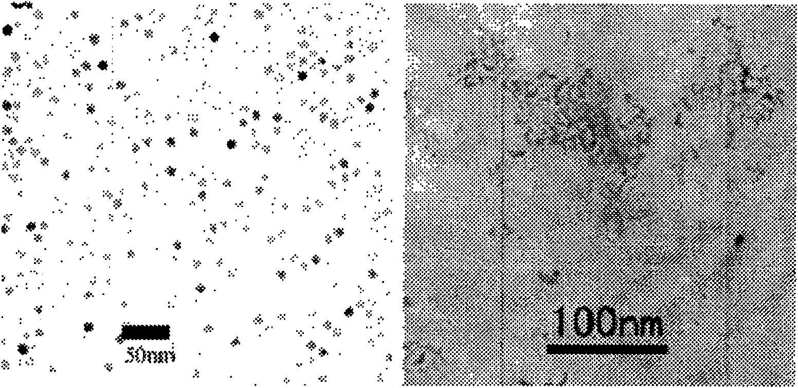 Method for preparing tin oxide nanocrystalline coated by organic ligand