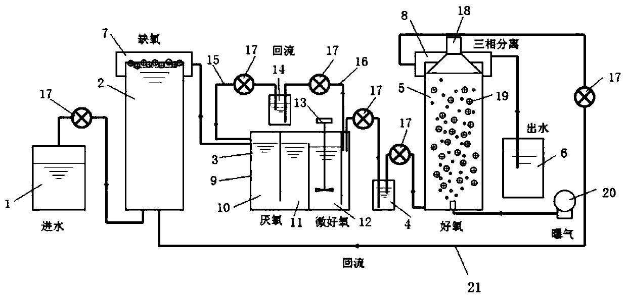 Device for pyridine mineralization simultaneous denitrification through nano-iron oxide