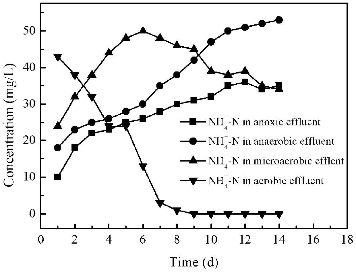 Device for pyridine mineralization simultaneous denitrification through nano-iron oxide