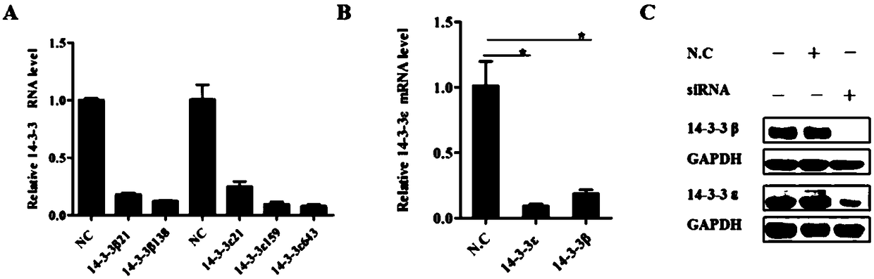 Blocking agent for inhibiting infection of High Pathogenic Porcine Reproductive and Respiratory Syndrome Virus