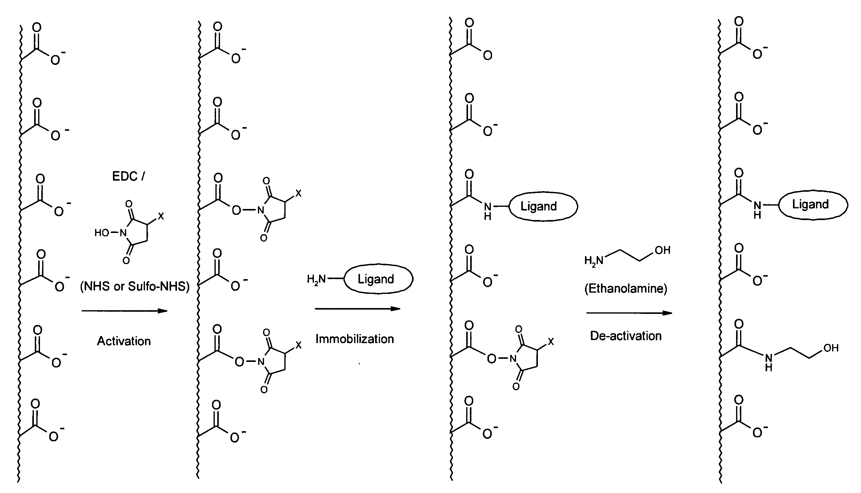 Binding layer and method for its preparation and uses thereof