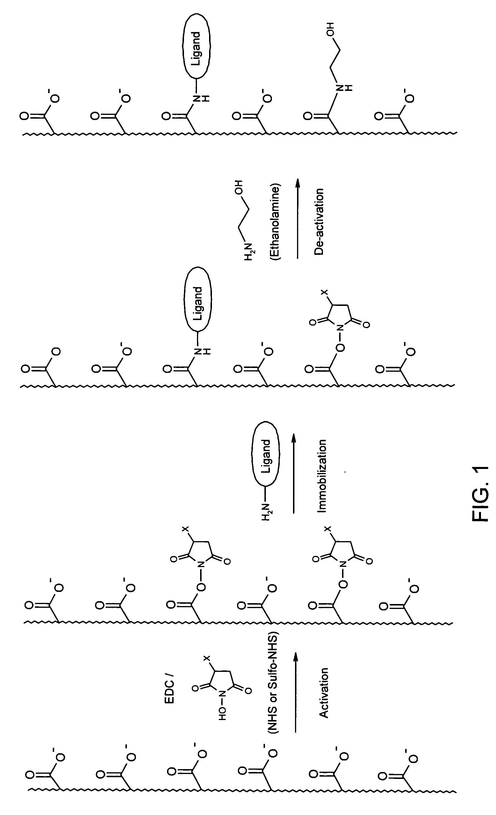 Binding layer and method for its preparation and uses thereof