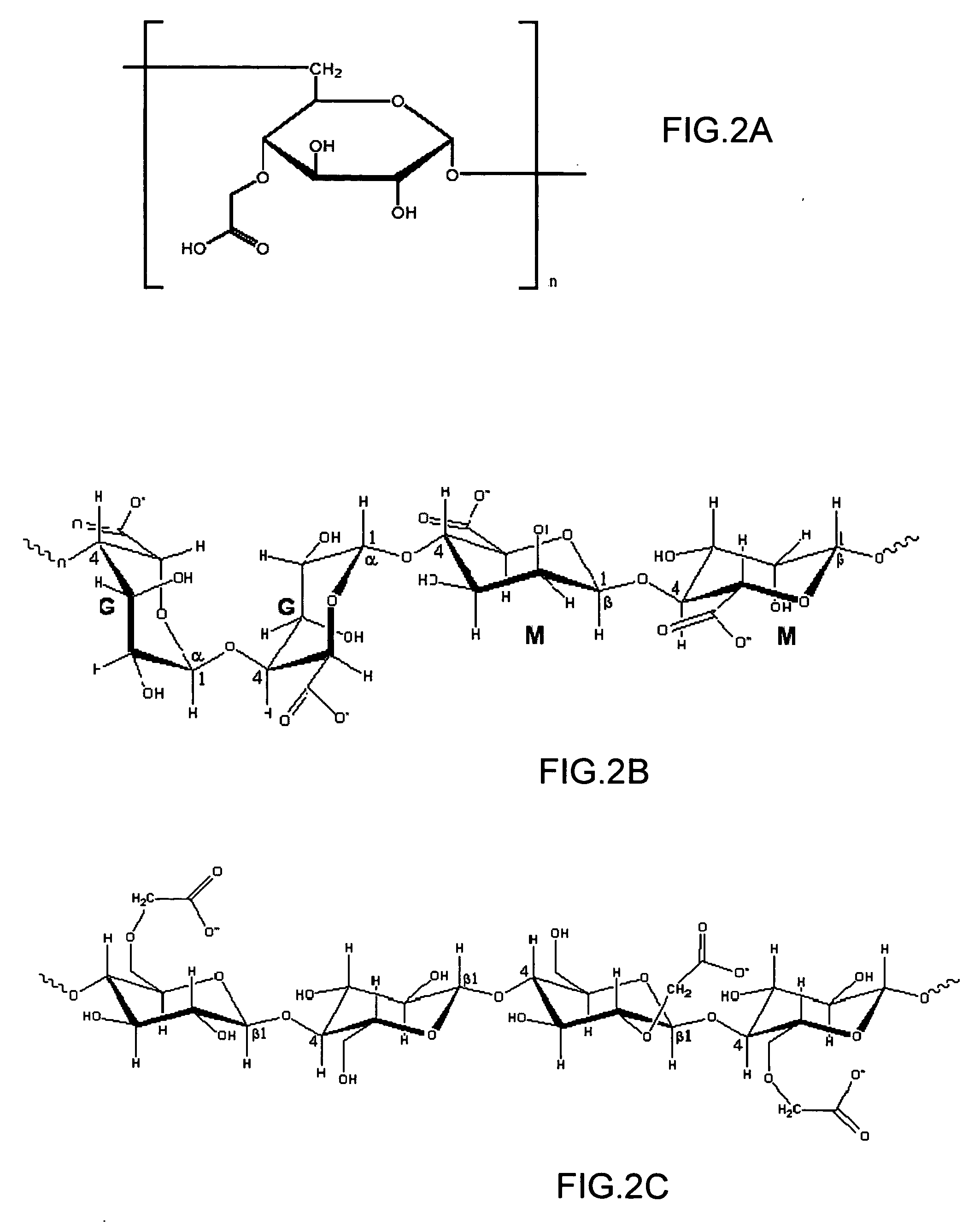 Binding layer and method for its preparation and uses thereof